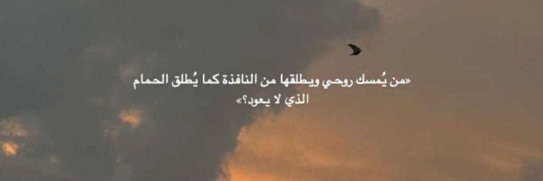 ∞ 𓂀M banner
