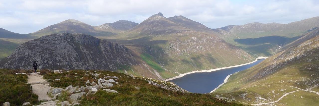 Trixie Smyth 🤷🏻‍♀️😷 banner