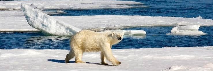 Random Nigerian banner