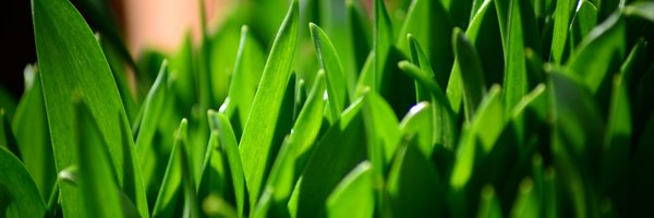 NicoleDufft Profile Banner