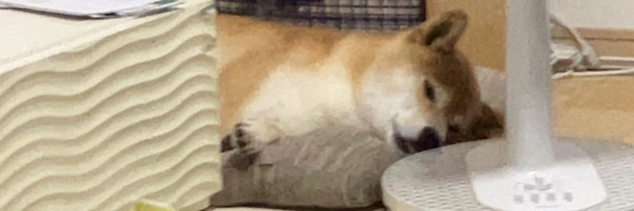 なた【取引･提案は⬇️の公式ラインまで(*_ _)】 banner