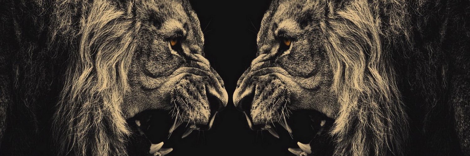 KaufmanHunter's profile banner image