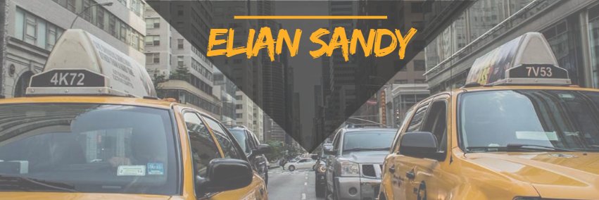 elsndy's profile banner image