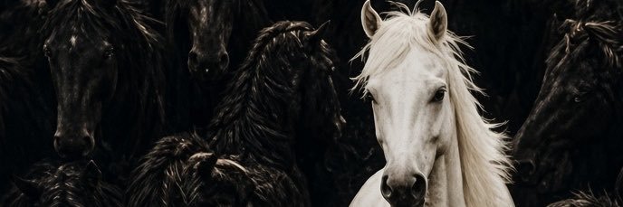 AndrewMacasio's profile banner image