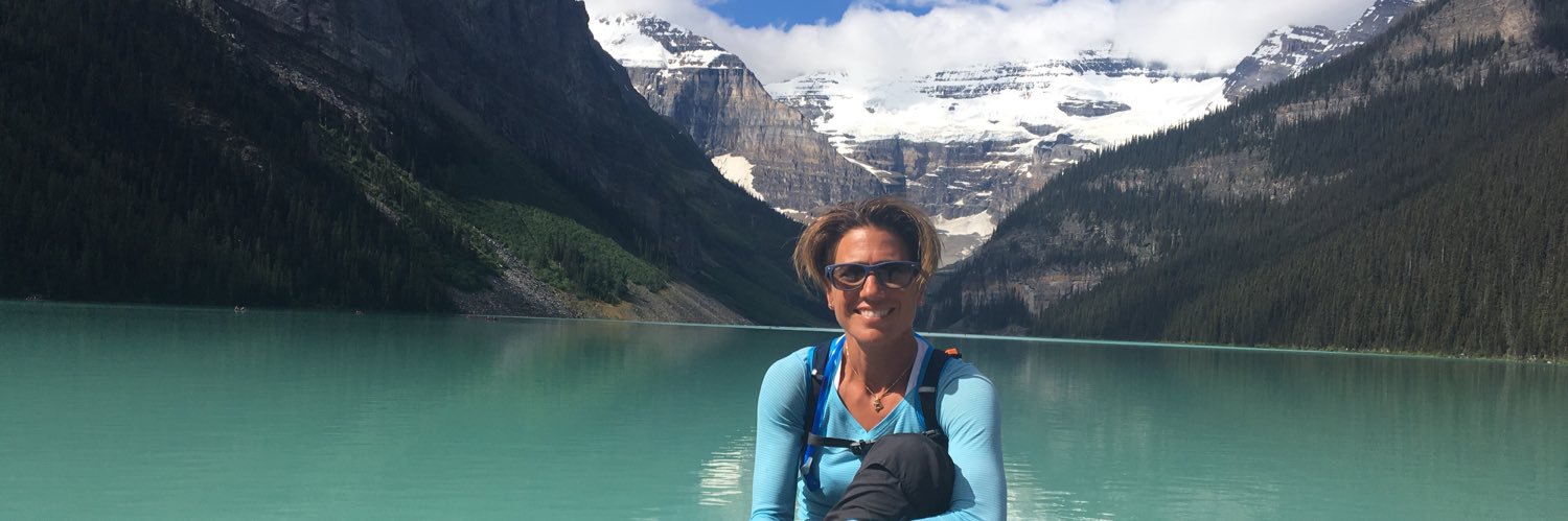 janinecwillis's profile banner image
