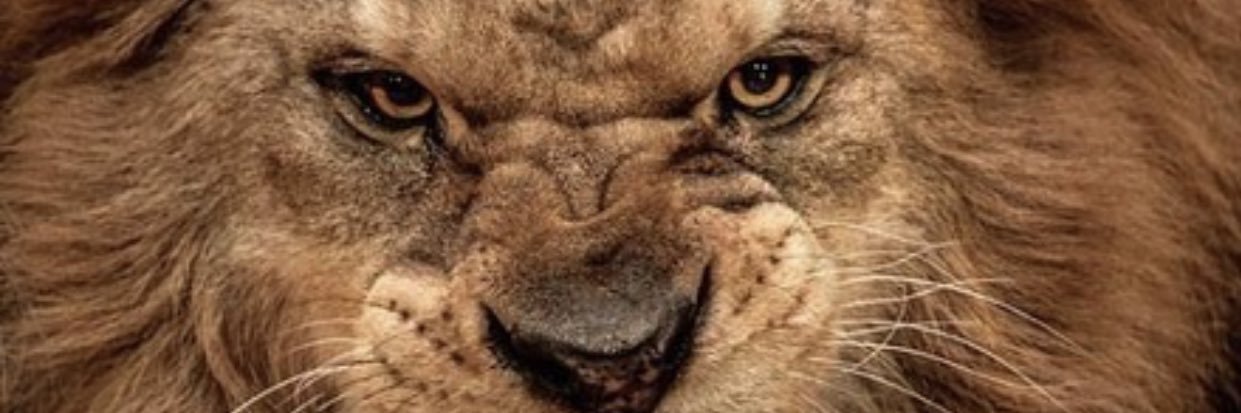 vlucasmelo's profile banner image