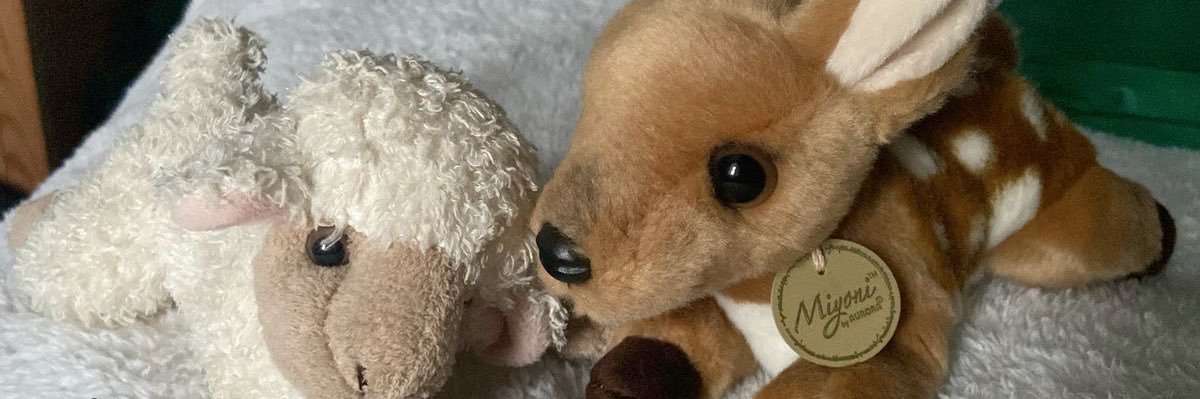 Laureelys's profile banner image