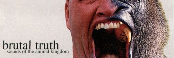 Sengishilo's profile banner image