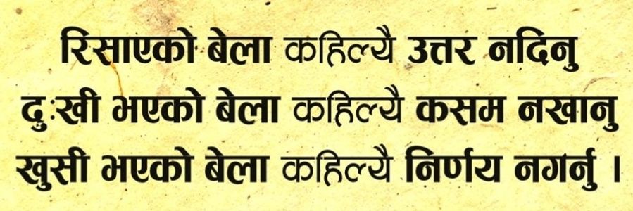 urdipu's profile banner image