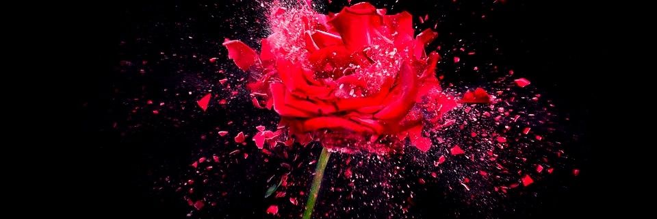 Groovytaa_'s profile banner image