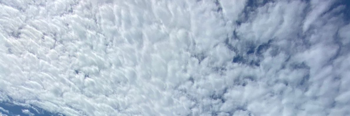 mayarasouuzza's profile banner image