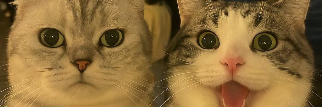 🎵DowPlace 🎧 💘 banner