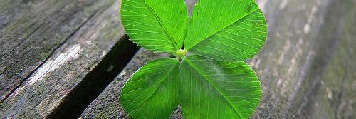 onoja_sam's profile banner image