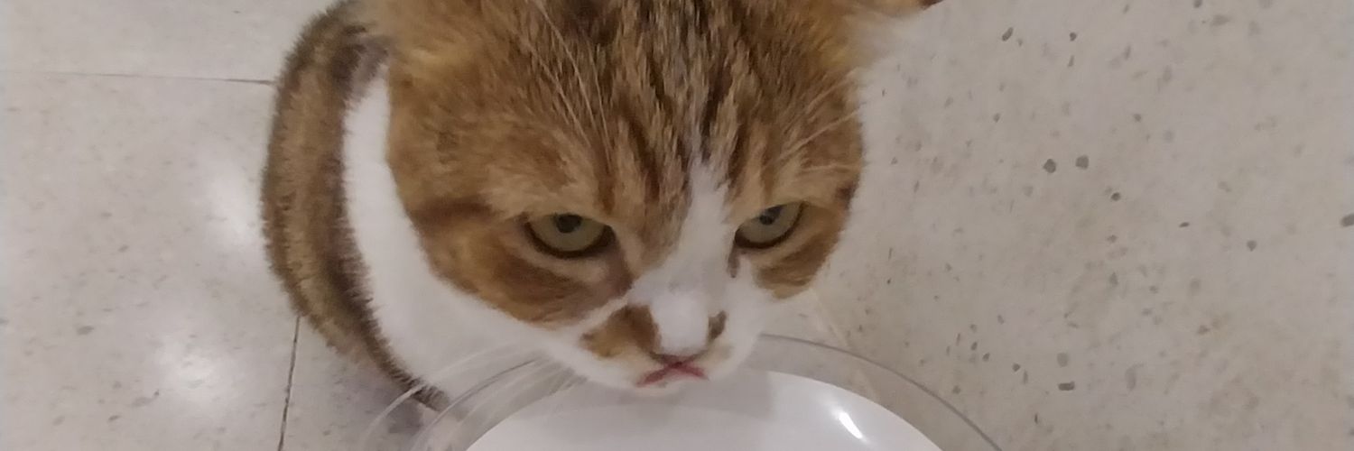 Icekream Fisk banner