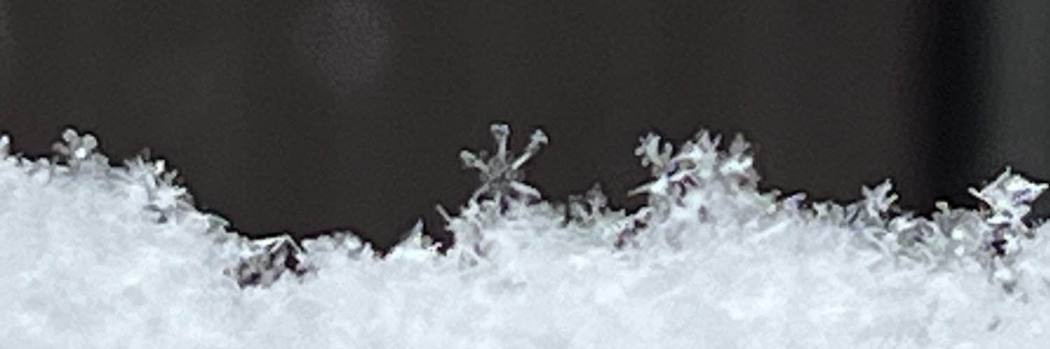 にゃろたん banner