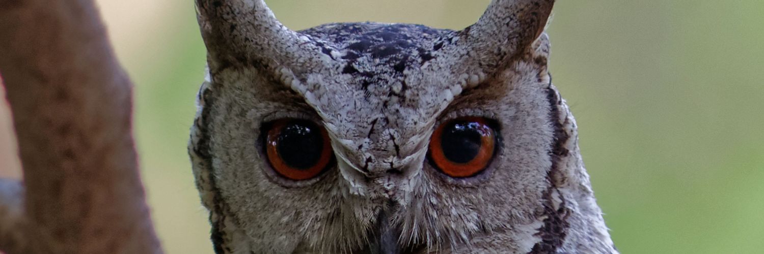 𒀭Dr Able Lawrence MD DM🦉周天堂🌻 banner