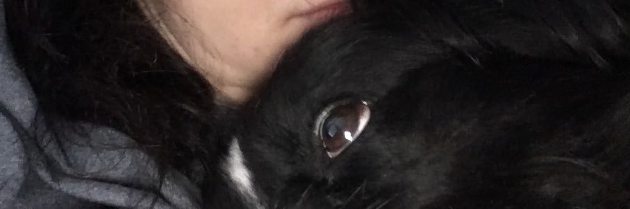 Amy Lynn Best banner