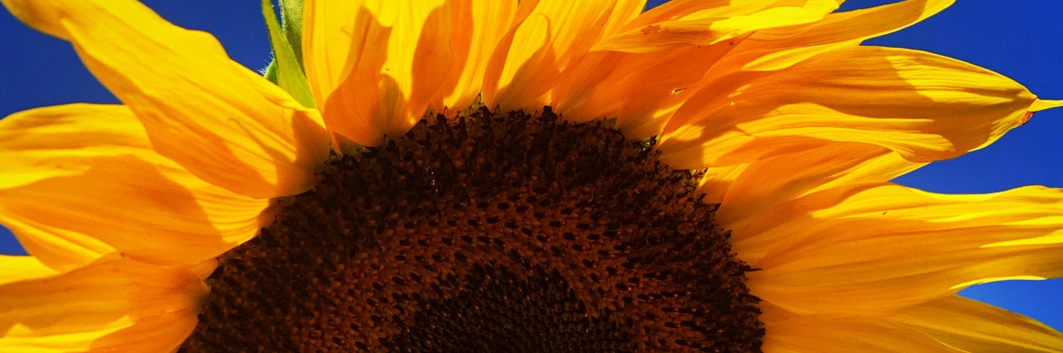 SmillerGrace's profile banner image