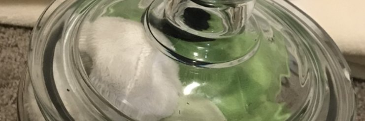 TheBreadArtist's profile banner image