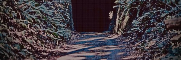 HappyEn0l0 Profile Banner