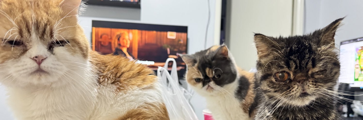 DorothyAbeee's profile banner image