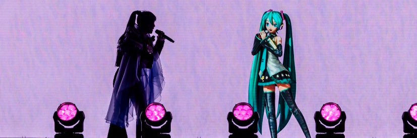 Strelitzia.10 banner