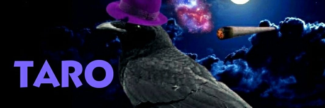 ROLLUPthatTARO's profile banner image