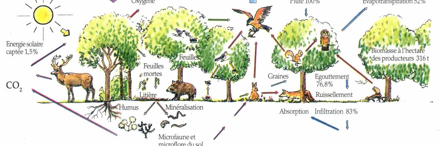 environnement's profile banner image