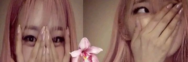 𓆩♡𓆪 banner