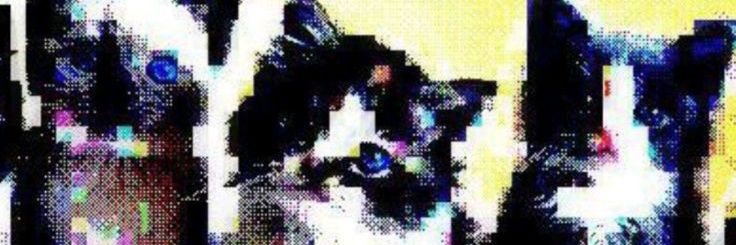 Scoliosis 🍥 banner