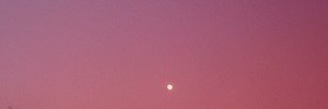 LeaImas's profile banner image