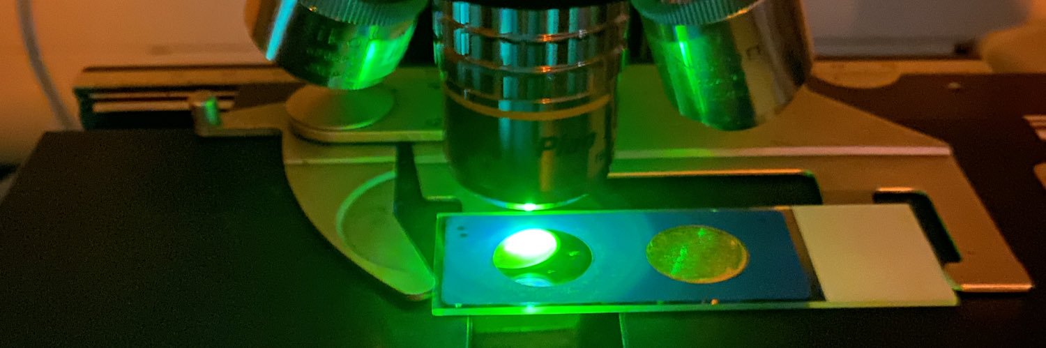 Maegyn Grubbs banner