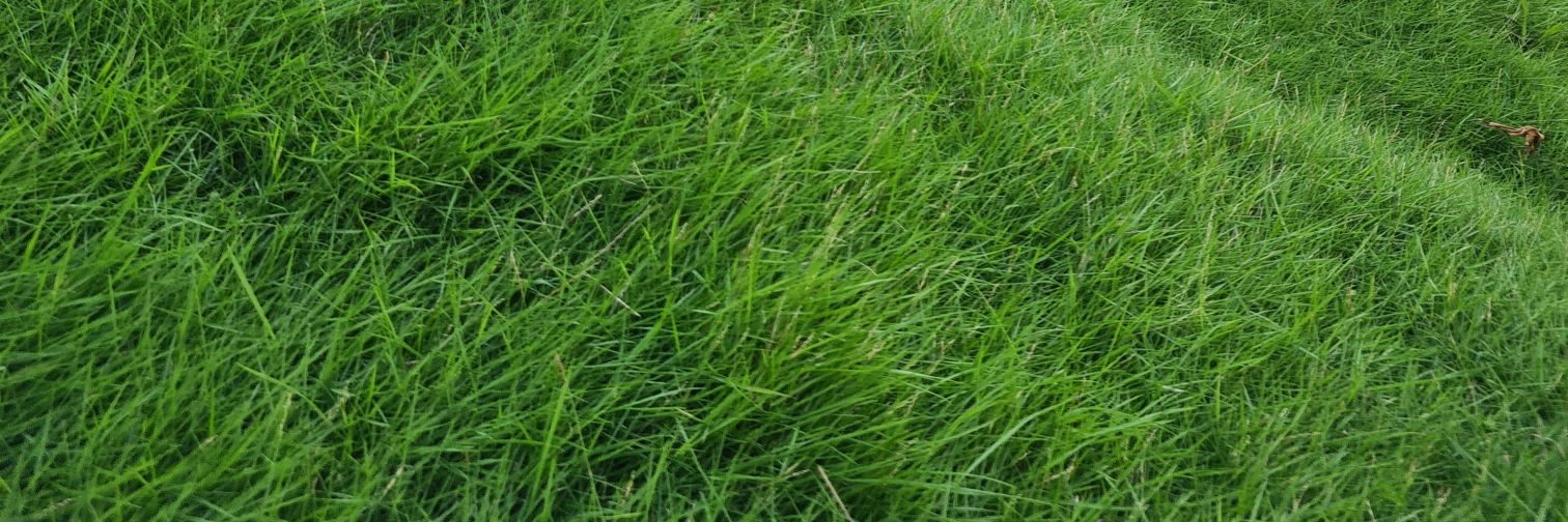 rdnskm's profile banner image