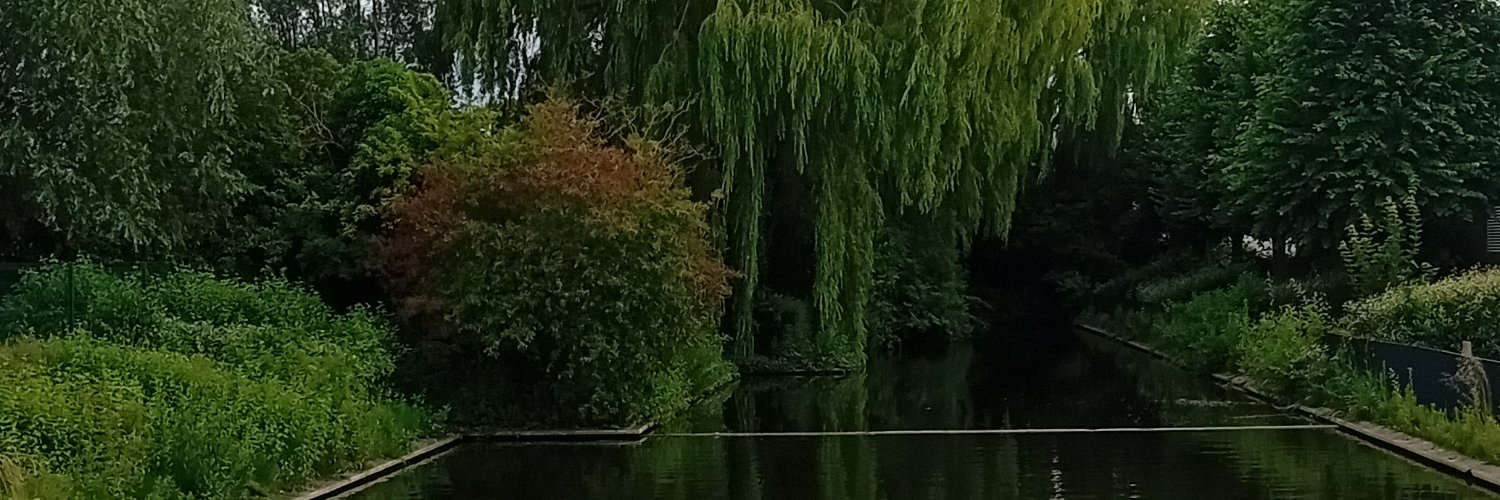 ELaurens3's profile banner image