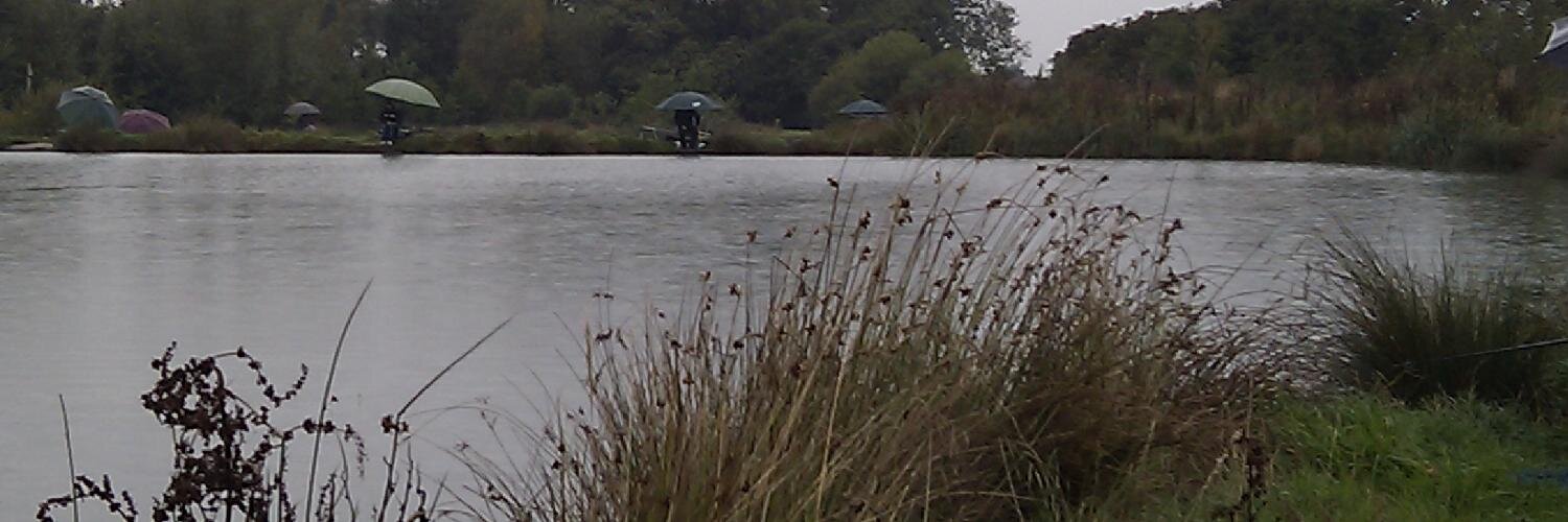 Barrie Roberts 🍊 banner