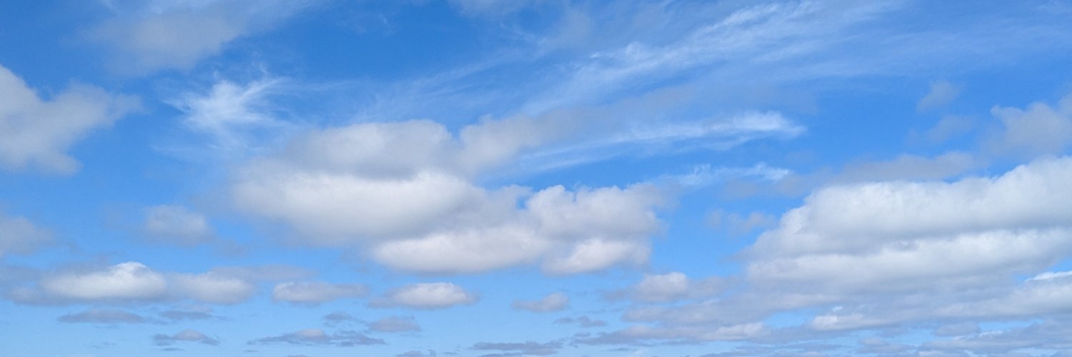 mee_EEe's profile banner image