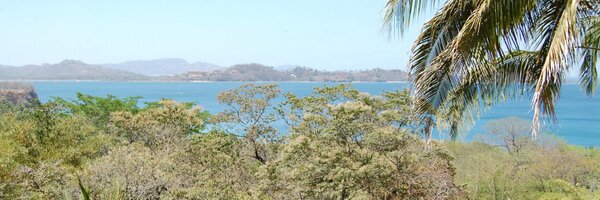 wingspouse Profile Banner