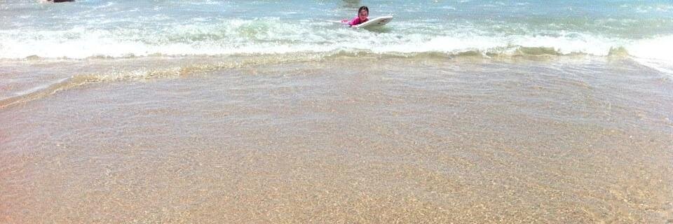 James Panichi banner