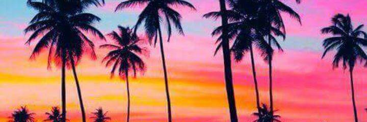 florrpalmieri's profile banner image