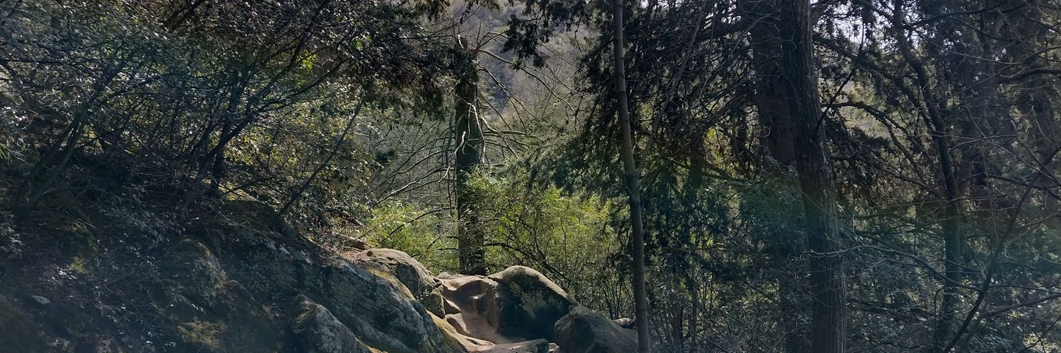 Biancaapx's profile banner image