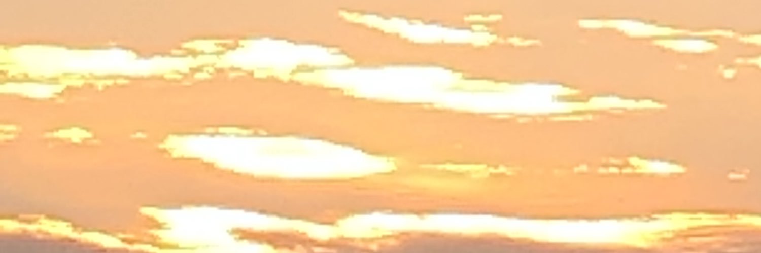 mrse1107's profile banner image