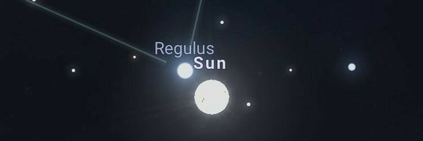 rxgulus_ Profile Banner