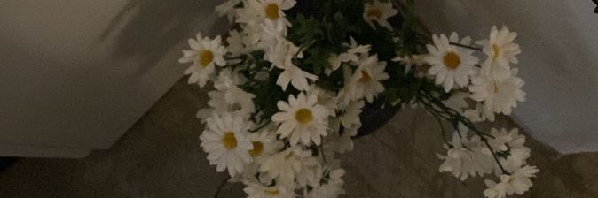 non_taupe's profile banner image