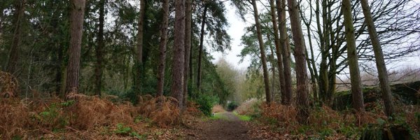 goldenfable Profile Banner