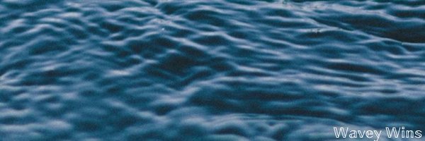 winwithwavey Profile Banner
