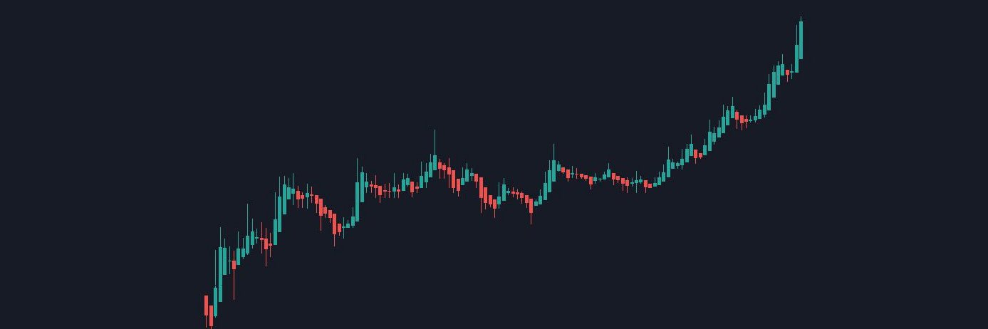 novice trader banner