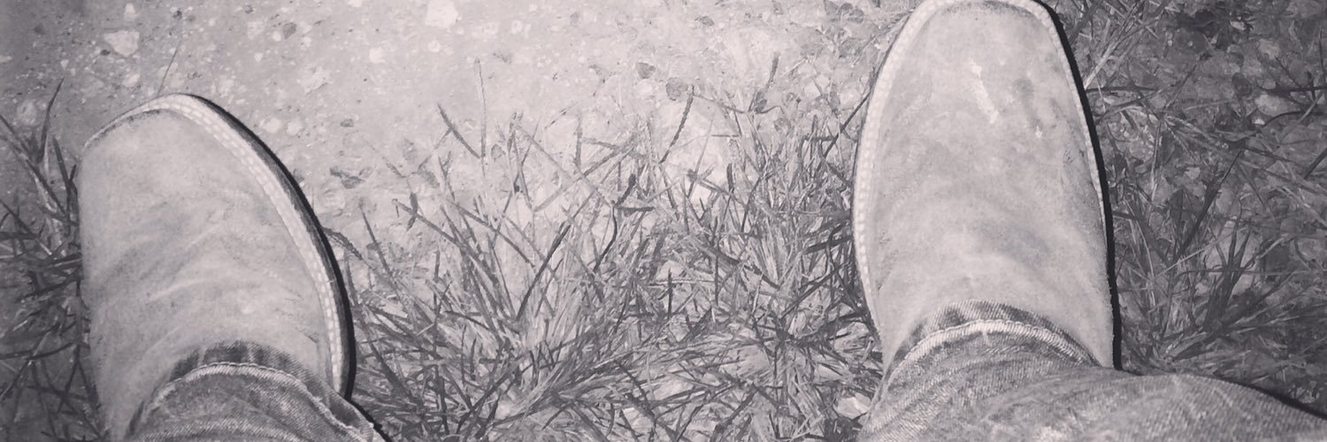 squirrelinwoods's profile banner image