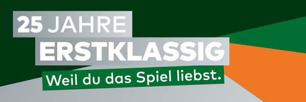 HSG_Wetzlar Profile Banner