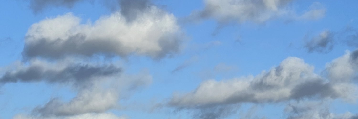 traceywaceyy's profile banner image