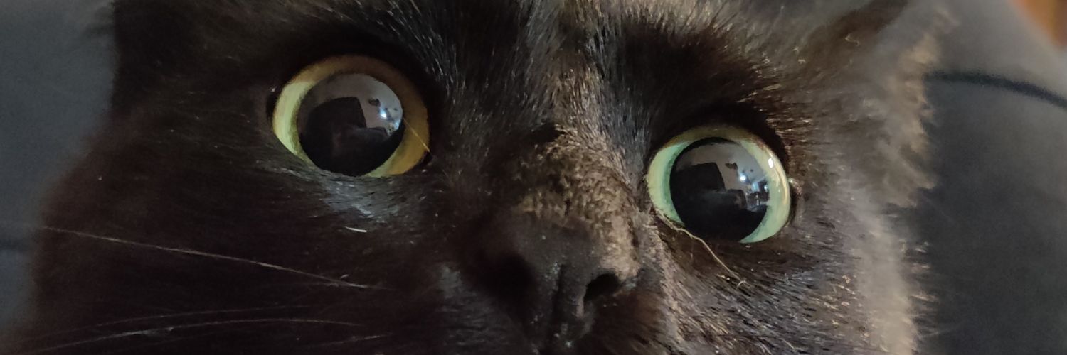 whakos's profile banner image